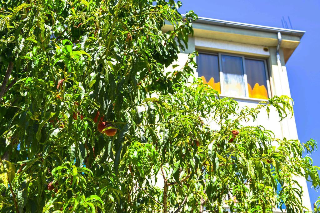 Pemaj Hostel Shkoder Exterior photo